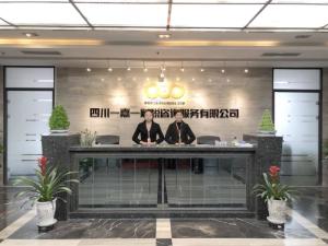 專業(yè)財(cái)稅咨詢，助力企業(yè)穩(wěn)健前行——四川一嘉一財(cái)稅咨詢服務(wù)解析